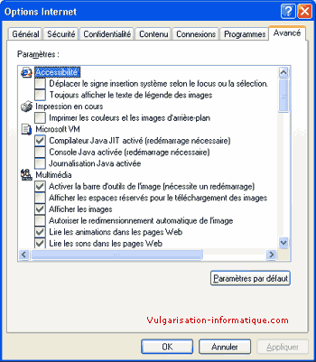 Options avancées - internet explorer