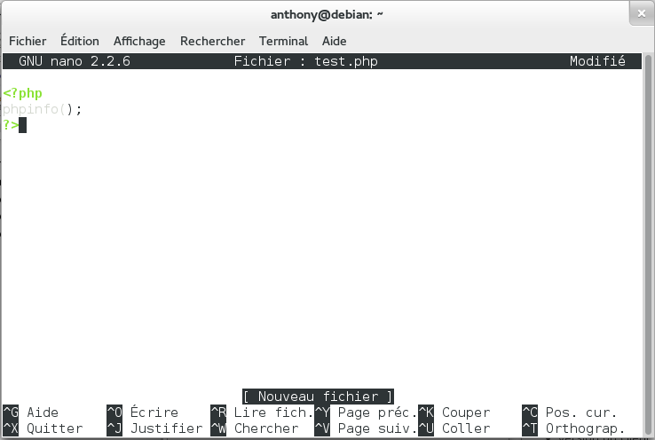 Version de PHP avec phpinfo() et nano