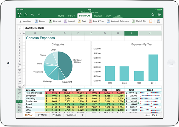 Excel Ipad