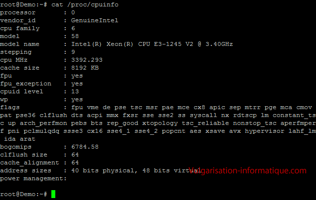 cat /proc/cpuinfo